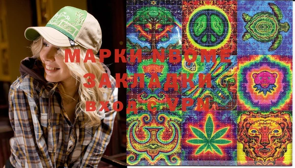 ПСИЛОЦИБИНОВЫЕ ГРИБЫ Алексин