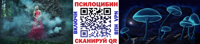 где продают наркотики  Камызяк  Псилоцибиновые грибы Psilocybine cubensis 